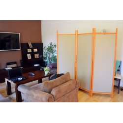 Parawan obrotowy 360 stopni Pendulum dostępny w wielu kolorach