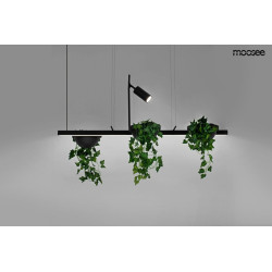 Lampa wisząca Plant Line lampa pozioma z trzema doniczkami  Lampa wisząca Plant Line lampa pozioma z trzema doniczkami