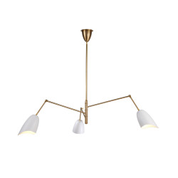 Żyrandol RAGNO – artystyczna lampa sufitowa o pięknej formie