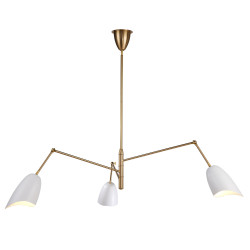 Żyrandol RAGNO – artystyczna lampa sufitowa o pięknej formie