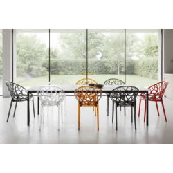 Krzesło transparentne KORAL przezroczyste | Komuto.pl